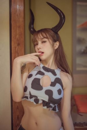 驯龙高手第一季普通话版_720HD在线观看