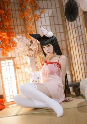麻豆视频在线_DVD视频大全