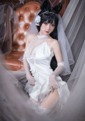 嗜血法医第二季_720免费播放